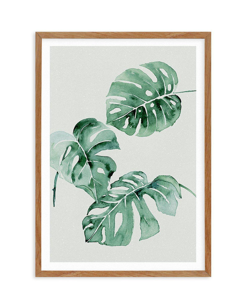 Monstera Abstract Watercolour Art Print-PRINT-Olive et Oriel-Olive et Oriel-50x70 cm | 19.6" x 27.5"-Walnut-With White Border-Buy-Australian-Art-Prints-Online-with-Olive-et-Oriel-Your-Artwork-Specialists-Austrailia-Decorate-With-Coastal-Photo-Wall-Art-Prints-From-Our-Beach-House-Artwork-Collection-Fine-Poster-and-Framed-Artwork