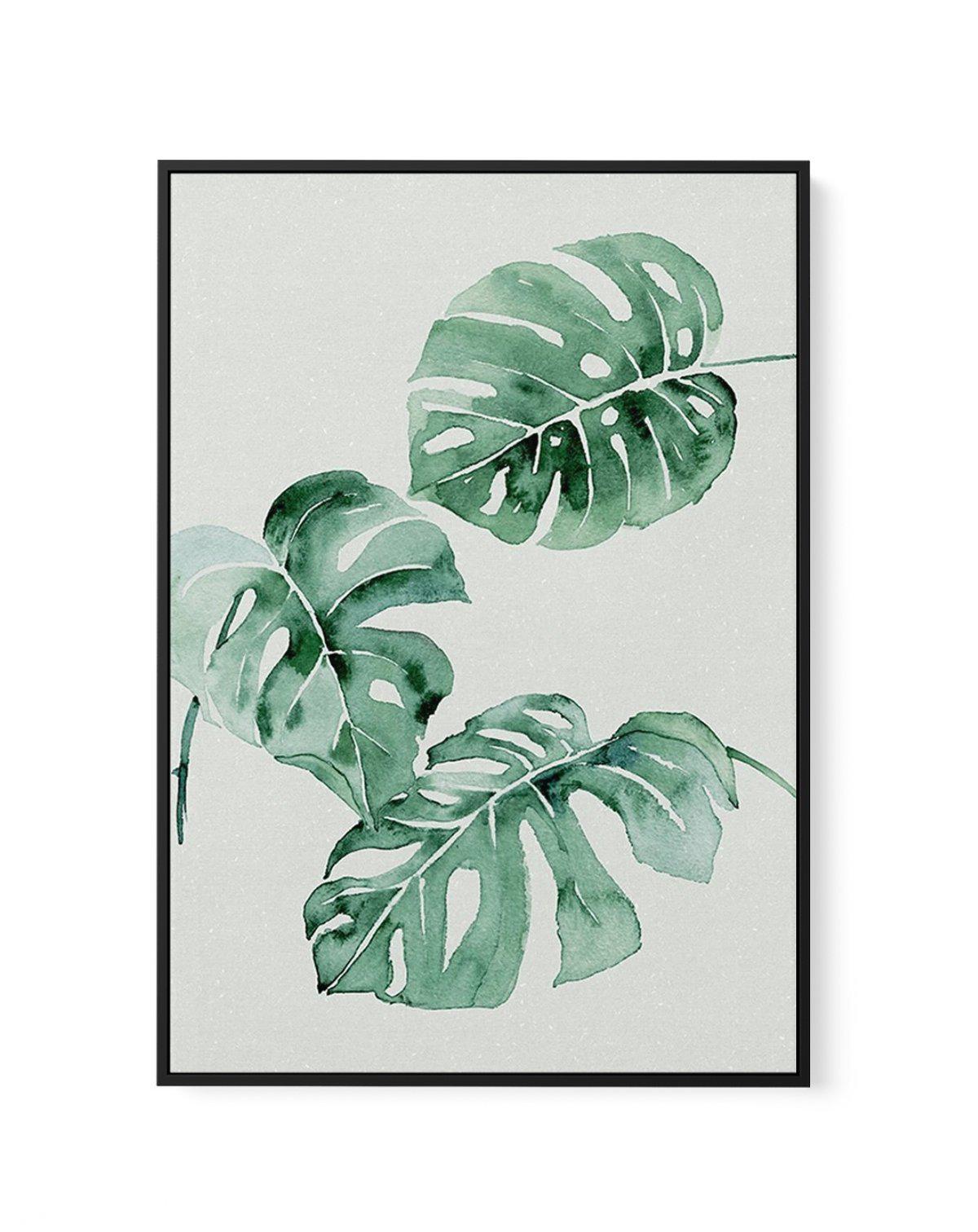 Monstera Abstract Watercolour | Framed Canvas-CANVAS-You can shop wall art online with Olive et Oriel for everything from abstract art to fun kids wall art. Our beautiful modern art prints and canvas art are available from large canvas prints to wall art paintings and our proudly Australian artwork collection offers only the highest quality framed large wall art and canvas art Australia - You can buy fashion photography prints or Hampton print posters and paintings on canvas from Olive et Oriel 