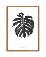 Monstera Deliciosa Art Print-PRINT-Olive et Oriel-Olive et Oriel-50x70 cm | 19.6" x 27.5"-Walnut-With White Border-Buy-Australian-Art-Prints-Online-with-Olive-et-Oriel-Your-Artwork-Specialists-Austrailia-Decorate-With-Coastal-Photo-Wall-Art-Prints-From-Our-Beach-House-Artwork-Collection-Fine-Poster-and-Framed-Artwork