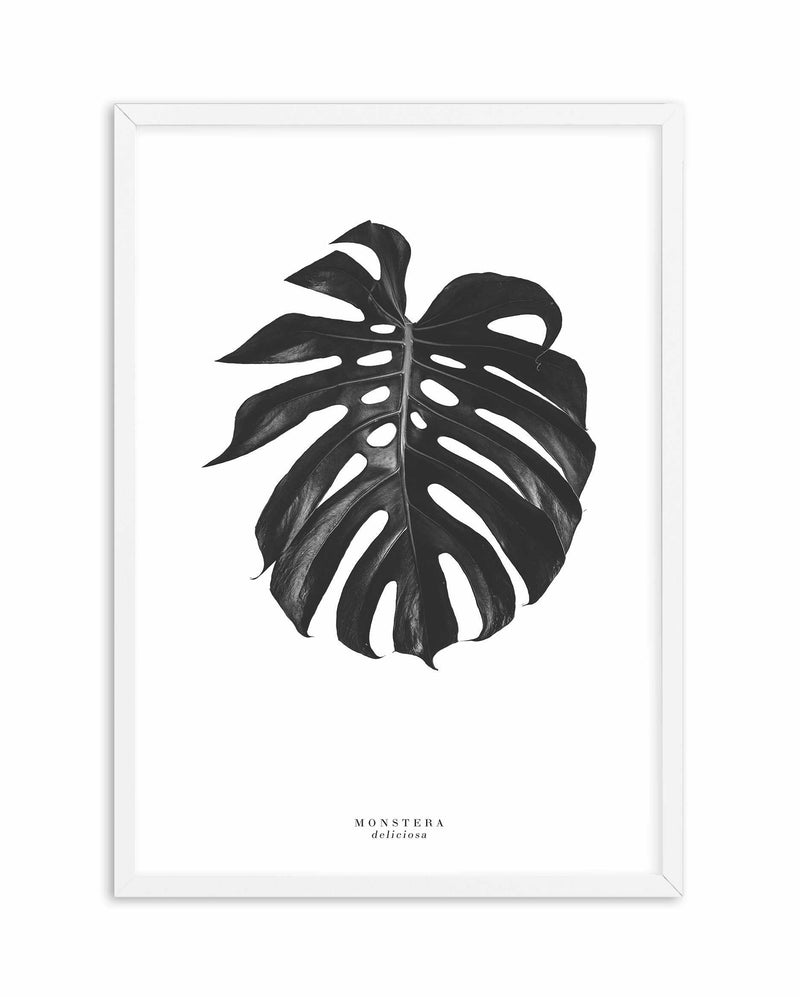 Monstera Deliciosa Art Print-PRINT-Olive et Oriel-Olive et Oriel-A5 | 5.8" x 8.3" | 14.8 x 21cm-White-With White Border-Buy-Australian-Art-Prints-Online-with-Olive-et-Oriel-Your-Artwork-Specialists-Austrailia-Decorate-With-Coastal-Photo-Wall-Art-Prints-From-Our-Beach-House-Artwork-Collection-Fine-Poster-and-Framed-Artwork
