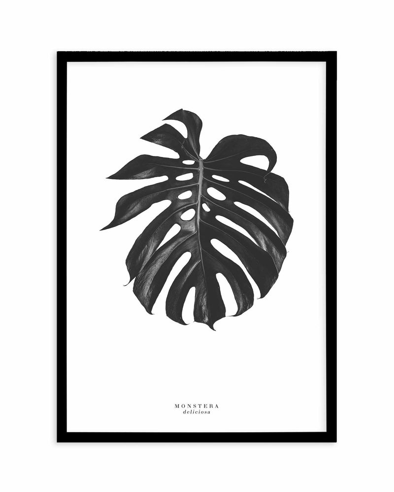 Monstera Deliciosa Art Print-PRINT-Olive et Oriel-Olive et Oriel-A5 | 5.8" x 8.3" | 14.8 x 21cm-Black-With White Border-Buy-Australian-Art-Prints-Online-with-Olive-et-Oriel-Your-Artwork-Specialists-Austrailia-Decorate-With-Coastal-Photo-Wall-Art-Prints-From-Our-Beach-House-Artwork-Collection-Fine-Poster-and-Framed-Artwork