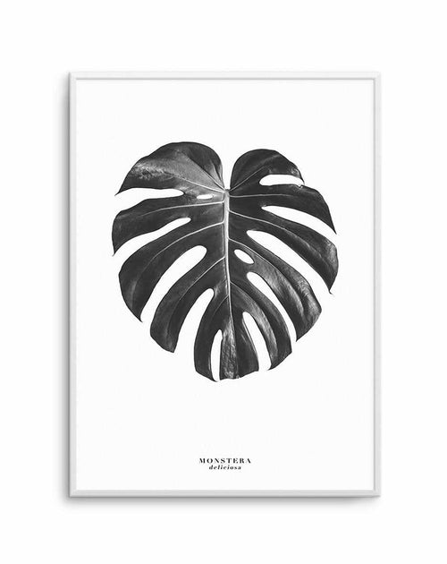 Monstera Deliciosa Art Print-PRINT-Olive et Oriel-Olive et Oriel-A5 | 5.8" x 8.3" | 14.8 x 21cm-Unframed Art Print-With White Border-Buy-Australian-Art-Prints-Online-with-Olive-et-Oriel-Your-Artwork-Specialists-Austrailia-Decorate-With-Coastal-Photo-Wall-Art-Prints-From-Our-Beach-House-Artwork-Collection-Fine-Poster-and-Framed-Artwork