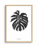 Monstera Deliciosa Art Print-PRINT-Olive et Oriel-Olive et Oriel-A5 | 5.8" x 8.3" | 14.8 x 21cm-Oak-With White Border-Buy-Australian-Art-Prints-Online-with-Olive-et-Oriel-Your-Artwork-Specialists-Austrailia-Decorate-With-Coastal-Photo-Wall-Art-Prints-From-Our-Beach-House-Artwork-Collection-Fine-Poster-and-Framed-Artwork