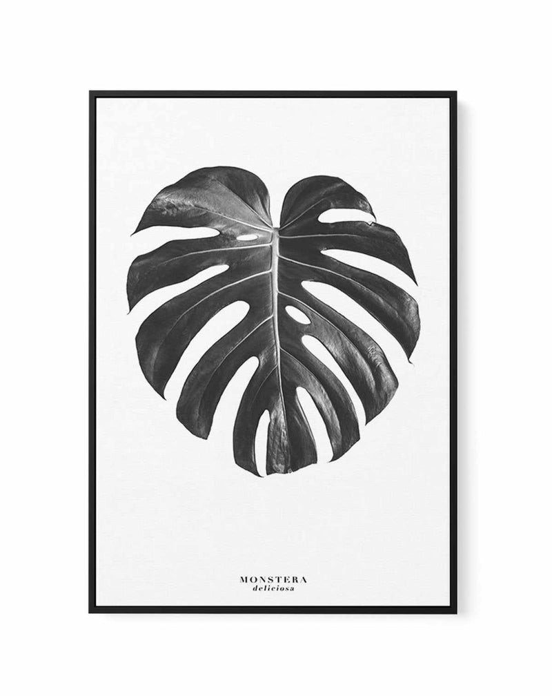 Monstera Deliciosa | Framed Canvas-CANVAS-You can shop wall art online with Olive et Oriel for everything from abstract art to fun kids wall art. Our beautiful modern art prints and canvas art are available from large canvas prints to wall art paintings and our proudly Australian artwork collection offers only the highest quality framed large wall art and canvas art Australia - You can buy fashion photography prints or Hampton print posters and paintings on canvas from Olive et Oriel and have th