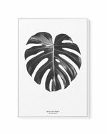Monstera Deliciosa | Framed Canvas-CANVAS-You can shop wall art online with Olive et Oriel for everything from abstract art to fun kids wall art. Our beautiful modern art prints and canvas art are available from large canvas prints to wall art paintings and our proudly Australian artwork collection offers only the highest quality framed large wall art and canvas art Australia - You can buy fashion photography prints or Hampton print posters and paintings on canvas from Olive et Oriel and have th