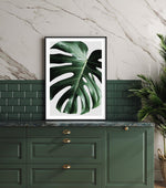 Monstera | On Grey Art Print-PRINT-Olive et Oriel-Olive et Oriel-Buy-Australian-Art-Prints-Online-with-Olive-et-Oriel-Your-Artwork-Specialists-Austrailia-Decorate-With-Coastal-Photo-Wall-Art-Prints-From-Our-Beach-House-Artwork-Collection-Fine-Poster-and-Framed-Artwork