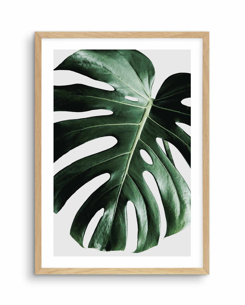 Monstera | On Grey Art Print-PRINT-Olive et Oriel-Olive et Oriel-A4 | 8.3" x 11.7" | 21 x 29.7cm-Oak-With White Border-Buy-Australian-Art-Prints-Online-with-Olive-et-Oriel-Your-Artwork-Specialists-Austrailia-Decorate-With-Coastal-Photo-Wall-Art-Prints-From-Our-Beach-House-Artwork-Collection-Fine-Poster-and-Framed-Artwork