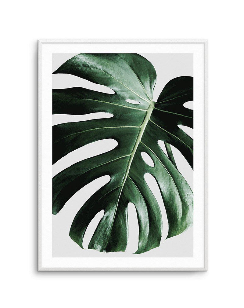 Monstera | On Grey Art Print-PRINT-Olive et Oriel-Olive et Oriel-A4 | 8.3" x 11.7" | 21 x 29.7cm-Unframed Art Print-With White Border-Buy-Australian-Art-Prints-Online-with-Olive-et-Oriel-Your-Artwork-Specialists-Austrailia-Decorate-With-Coastal-Photo-Wall-Art-Prints-From-Our-Beach-House-Artwork-Collection-Fine-Poster-and-Framed-Artwork
