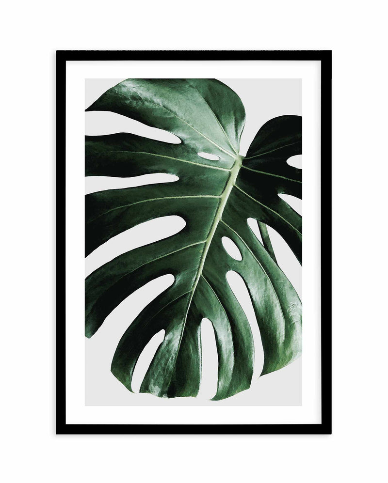 Monstera | On Grey Art Print-PRINT-Olive et Oriel-Olive et Oriel-A4 | 8.3" x 11.7" | 21 x 29.7cm-Black-With White Border-Buy-Australian-Art-Prints-Online-with-Olive-et-Oriel-Your-Artwork-Specialists-Austrailia-Decorate-With-Coastal-Photo-Wall-Art-Prints-From-Our-Beach-House-Artwork-Collection-Fine-Poster-and-Framed-Artwork