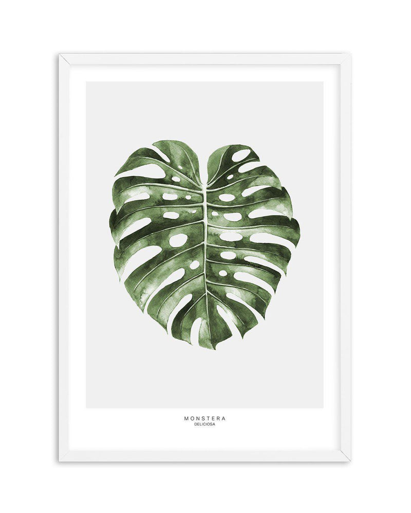 Monstera Palm Art Print-PRINT-Olive et Oriel-Olive et Oriel-A5 | 5.8" x 8.3" | 14.8 x 21cm-White-With White Border-Buy-Australian-Art-Prints-Online-with-Olive-et-Oriel-Your-Artwork-Specialists-Austrailia-Decorate-With-Coastal-Photo-Wall-Art-Prints-From-Our-Beach-House-Artwork-Collection-Fine-Poster-and-Framed-Artwork