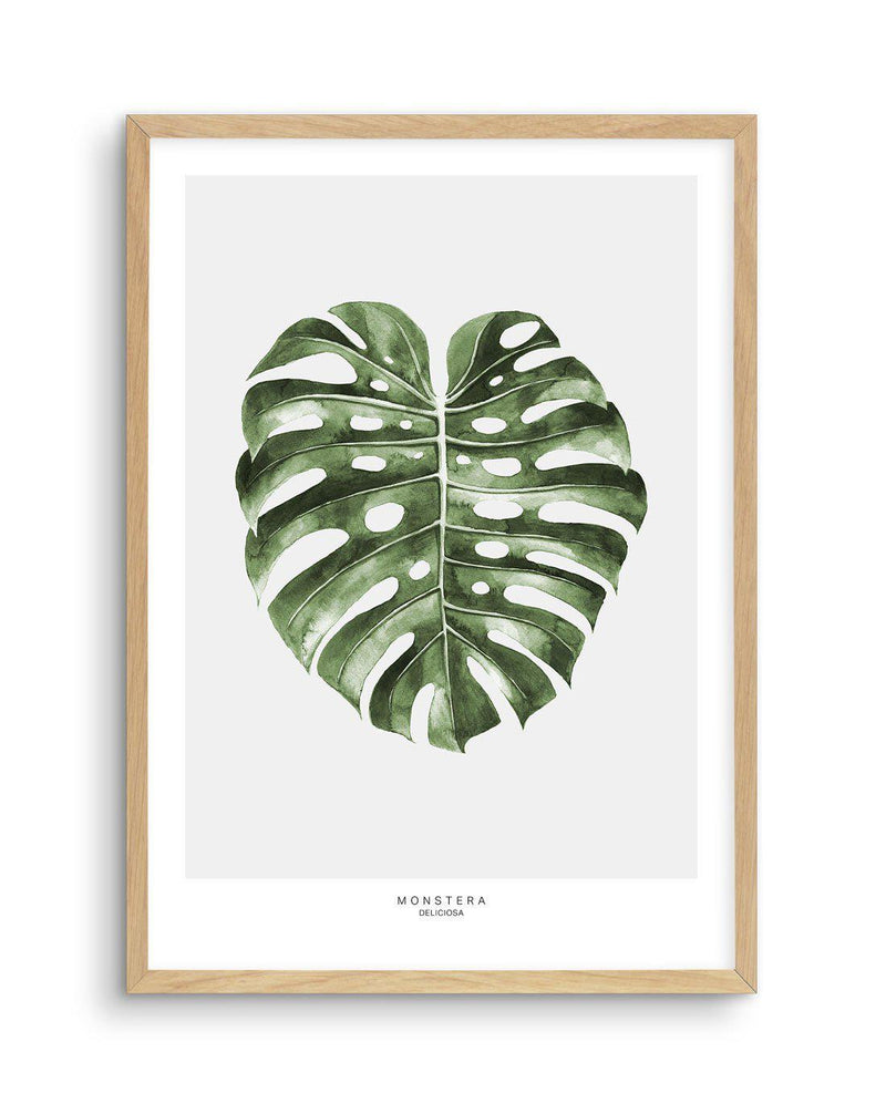 Monstera Palm Art Print-PRINT-Olive et Oriel-Olive et Oriel-A5 | 5.8" x 8.3" | 14.8 x 21cm-Oak-With White Border-Buy-Australian-Art-Prints-Online-with-Olive-et-Oriel-Your-Artwork-Specialists-Austrailia-Decorate-With-Coastal-Photo-Wall-Art-Prints-From-Our-Beach-House-Artwork-Collection-Fine-Poster-and-Framed-Artwork
