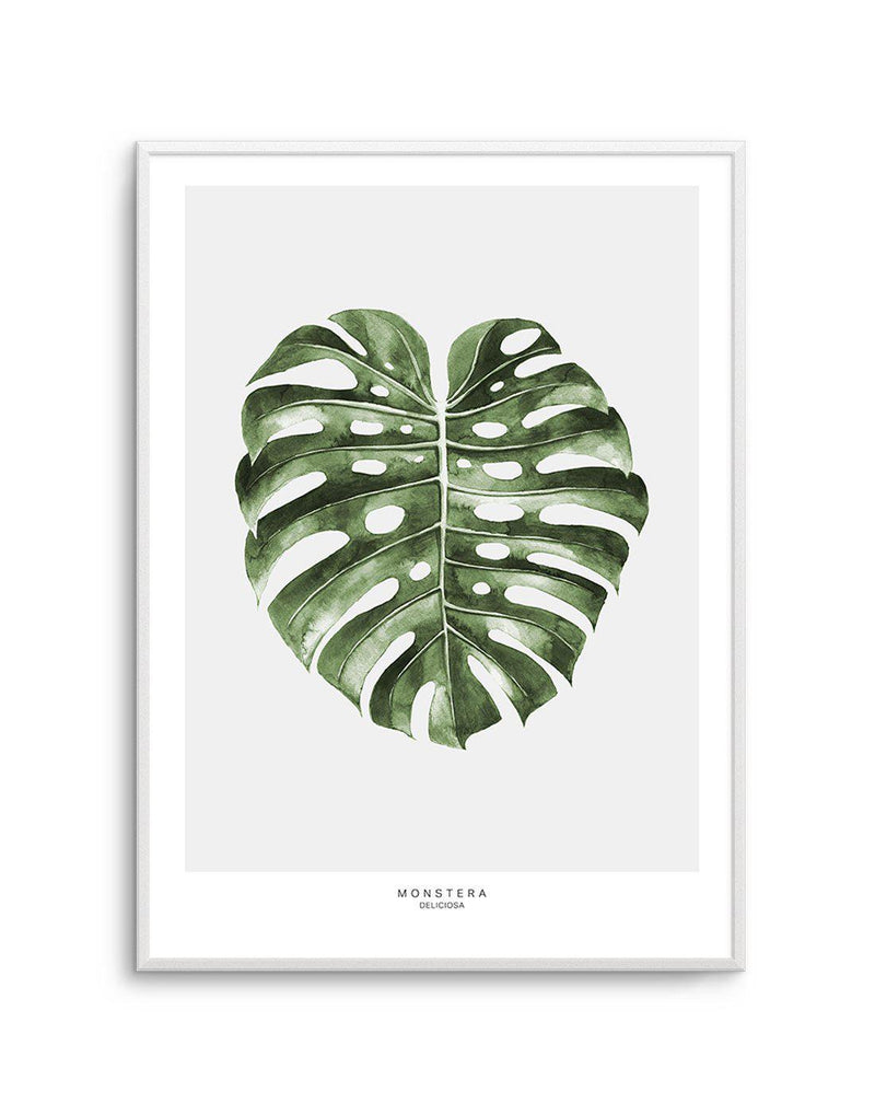 Monstera Palm Art Print-PRINT-Olive et Oriel-Olive et Oriel-A5 | 5.8" x 8.3" | 14.8 x 21cm-Unframed Art Print-With White Border-Buy-Australian-Art-Prints-Online-with-Olive-et-Oriel-Your-Artwork-Specialists-Austrailia-Decorate-With-Coastal-Photo-Wall-Art-Prints-From-Our-Beach-House-Artwork-Collection-Fine-Poster-and-Framed-Artwork