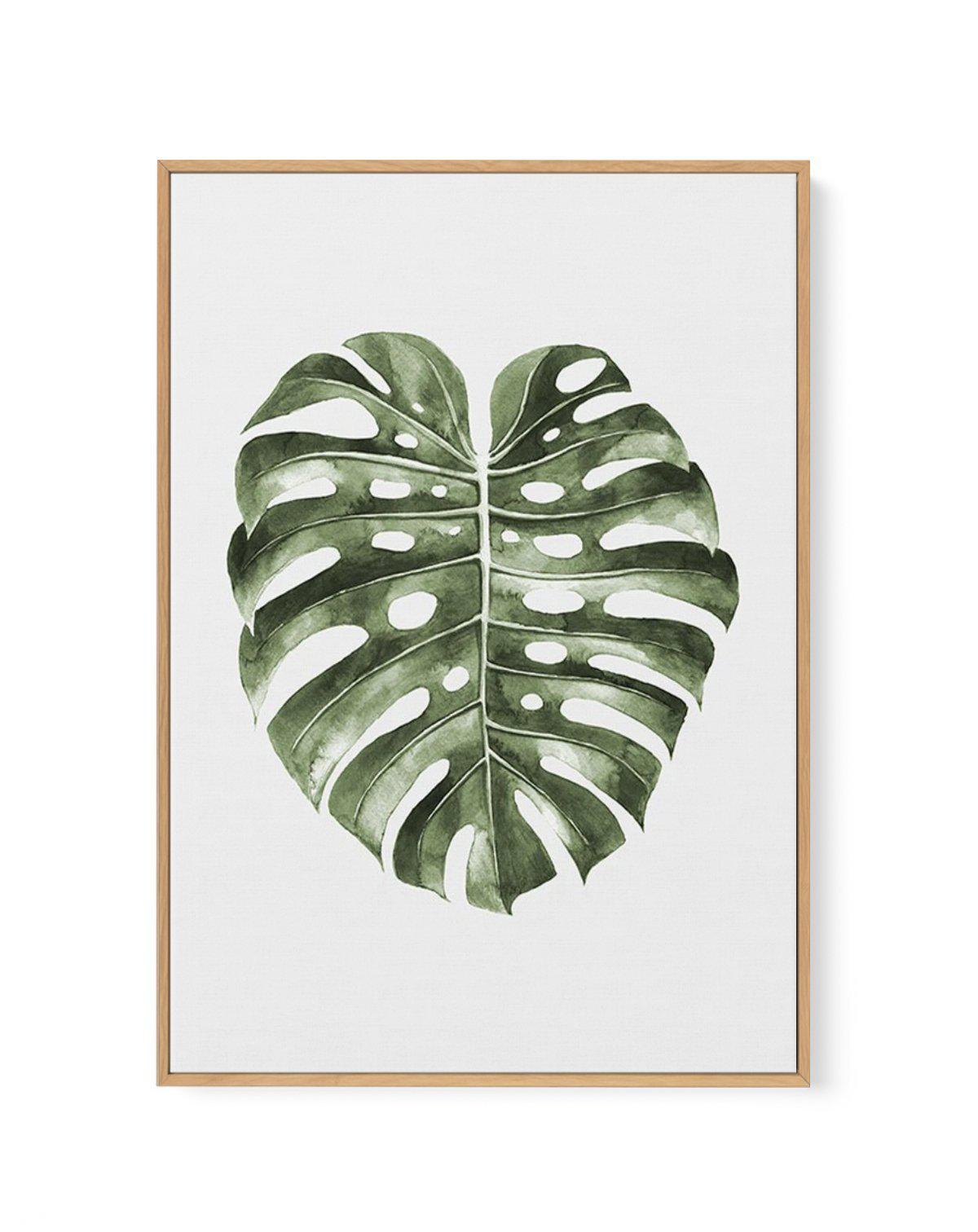 Monstera Palm | Framed Canvas-CANVAS-You can shop wall art online with Olive et Oriel for everything from abstract art to fun kids wall art. Our beautiful modern art prints and canvas art are available from large canvas prints to wall art paintings and our proudly Australian artwork collection offers only the highest quality framed large wall art and canvas art Australia - You can buy fashion photography prints or Hampton print posters and paintings on canvas from Olive et Oriel and have them de