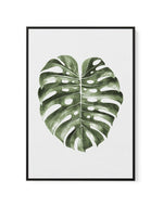 Monstera Palm | Framed Canvas-CANVAS-You can shop wall art online with Olive et Oriel for everything from abstract art to fun kids wall art. Our beautiful modern art prints and canvas art are available from large canvas prints to wall art paintings and our proudly Australian artwork collection offers only the highest quality framed large wall art and canvas art Australia - You can buy fashion photography prints or Hampton print posters and paintings on canvas from Olive et Oriel and have them de