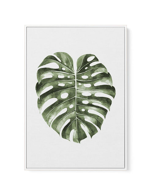 Monstera Palm | Framed Canvas-CANVAS-You can shop wall art online with Olive et Oriel for everything from abstract art to fun kids wall art. Our beautiful modern art prints and canvas art are available from large canvas prints to wall art paintings and our proudly Australian artwork collection offers only the highest quality framed large wall art and canvas art Australia - You can buy fashion photography prints or Hampton print posters and paintings on canvas from Olive et Oriel and have them de