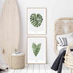 Monstera Siltepecana Art Print-PRINT-Olive et Oriel-Olive et Oriel-Buy-Australian-Art-Prints-Online-with-Olive-et-Oriel-Your-Artwork-Specialists-Austrailia-Decorate-With-Coastal-Photo-Wall-Art-Prints-From-Our-Beach-House-Artwork-Collection-Fine-Poster-and-Framed-Artwork