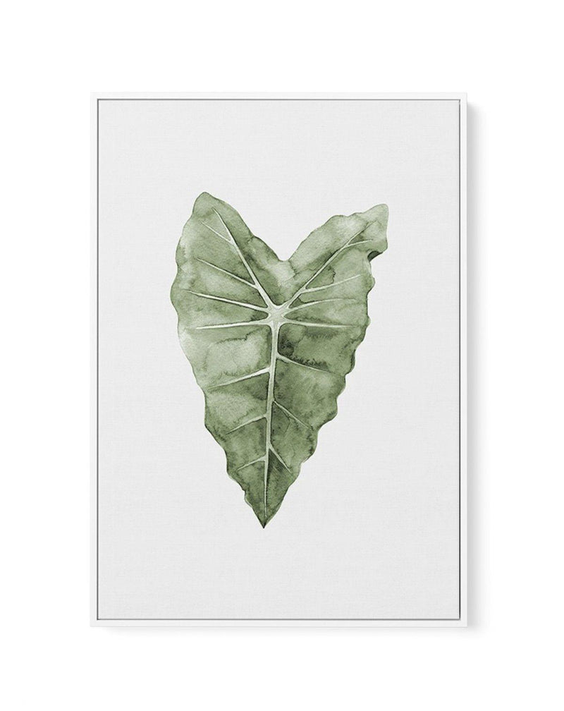 Monstera Siltepecana | Framed Canvas-CANVAS-You can shop wall art online with Olive et Oriel for everything from abstract art to fun kids wall art. Our beautiful modern art prints and canvas art are available from large canvas prints to wall art paintings and our proudly Australian artwork collection offers only the highest quality framed large wall art and canvas art Australia - You can buy fashion photography prints or Hampton print posters and paintings on canvas from Olive et Oriel and have 