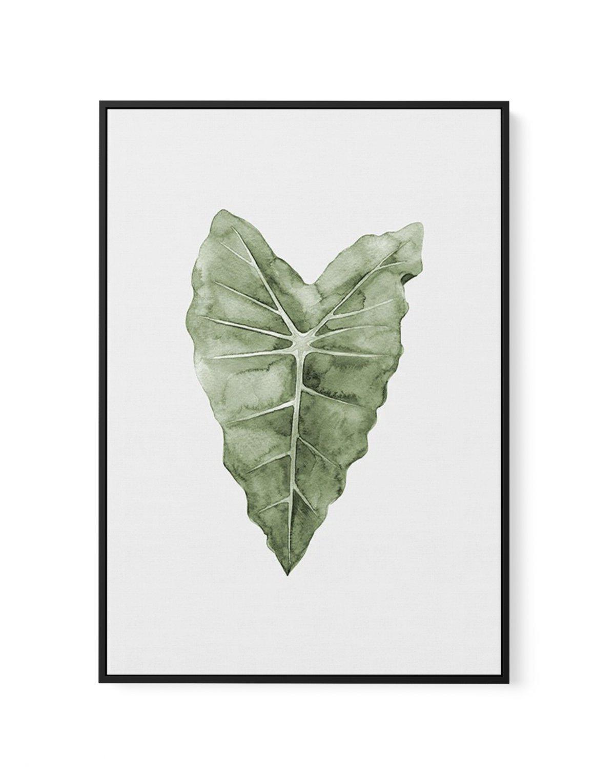 Monstera Siltepecana | Framed Canvas-CANVAS-You can shop wall art online with Olive et Oriel for everything from abstract art to fun kids wall art. Our beautiful modern art prints and canvas art are available from large canvas prints to wall art paintings and our proudly Australian artwork collection offers only the highest quality framed large wall art and canvas art Australia - You can buy fashion photography prints or Hampton print posters and paintings on canvas from Olive et Oriel and have 