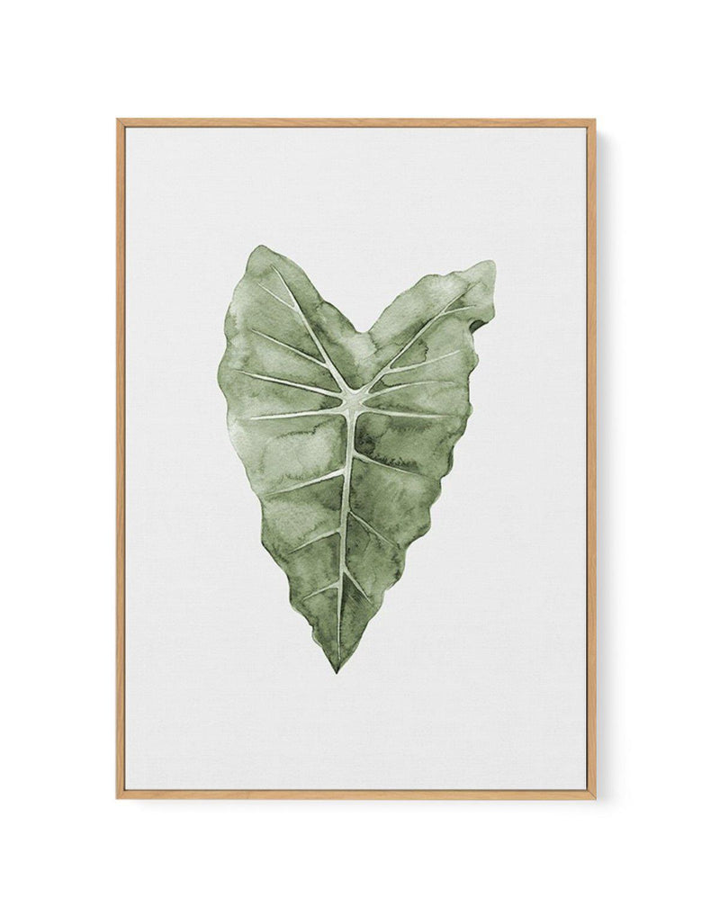 Monstera Siltepecana | Framed Canvas-CANVAS-You can shop wall art online with Olive et Oriel for everything from abstract art to fun kids wall art. Our beautiful modern art prints and canvas art are available from large canvas prints to wall art paintings and our proudly Australian artwork collection offers only the highest quality framed large wall art and canvas art Australia - You can buy fashion photography prints or Hampton print posters and paintings on canvas from Olive et Oriel and have 