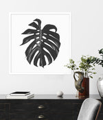 Monstera | SQ Art Print-PRINT-Olive et Oriel-Olive et Oriel-Buy-Australian-Art-Prints-Online-with-Olive-et-Oriel-Your-Artwork-Specialists-Austrailia-Decorate-With-Coastal-Photo-Wall-Art-Prints-From-Our-Beach-House-Artwork-Collection-Fine-Poster-and-Framed-Artwork
