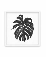 Monstera | SQ Art Print-PRINT-Olive et Oriel-Olive et Oriel-70x70 cm | 27.5" x 27.5"-White-With White Border-Buy-Australian-Art-Prints-Online-with-Olive-et-Oriel-Your-Artwork-Specialists-Austrailia-Decorate-With-Coastal-Photo-Wall-Art-Prints-From-Our-Beach-House-Artwork-Collection-Fine-Poster-and-Framed-Artwork