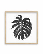 Monstera | SQ Art Print-PRINT-Olive et Oriel-Olive et Oriel-70x70 cm | 27.5" x 27.5"-Oak-With White Border-Buy-Australian-Art-Prints-Online-with-Olive-et-Oriel-Your-Artwork-Specialists-Austrailia-Decorate-With-Coastal-Photo-Wall-Art-Prints-From-Our-Beach-House-Artwork-Collection-Fine-Poster-and-Framed-Artwork
