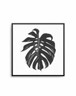 Monstera | SQ Art Print-PRINT-Olive et Oriel-Olive et Oriel-70x70 cm | 27.5" x 27.5"-Black-With White Border-Buy-Australian-Art-Prints-Online-with-Olive-et-Oriel-Your-Artwork-Specialists-Austrailia-Decorate-With-Coastal-Photo-Wall-Art-Prints-From-Our-Beach-House-Artwork-Collection-Fine-Poster-and-Framed-Artwork