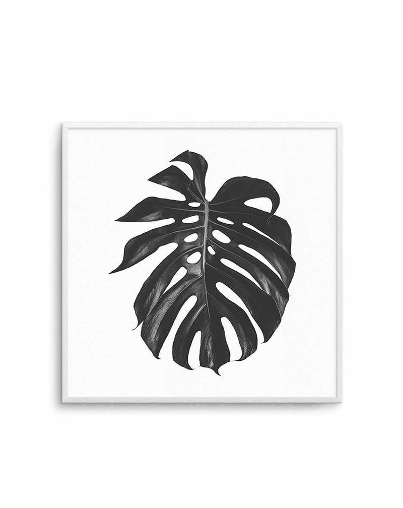 Monstera | SQ Art Print-PRINT-Olive et Oriel-Olive et Oriel-Buy-Australian-Art-Prints-Online-with-Olive-et-Oriel-Your-Artwork-Specialists-Austrailia-Decorate-With-Coastal-Photo-Wall-Art-Prints-From-Our-Beach-House-Artwork-Collection-Fine-Poster-and-Framed-Artwork