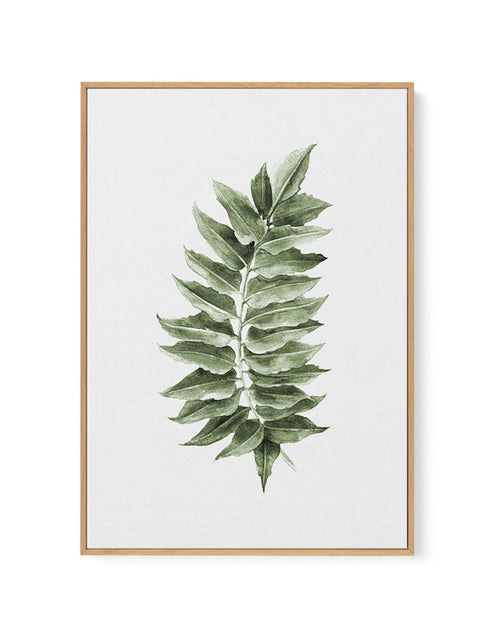 Monstera Subpinatta Palm | Framed Canvas-CANVAS-You can shop wall art online with Olive et Oriel for everything from abstract art to fun kids wall art. Our beautiful modern art prints and canvas art are available from large canvas prints to wall art paintings and our proudly Australian artwork collection offers only the highest quality framed large wall art and canvas art Australia - You can buy fashion photography prints or Hampton print posters and paintings on canvas from Olive et Oriel and h