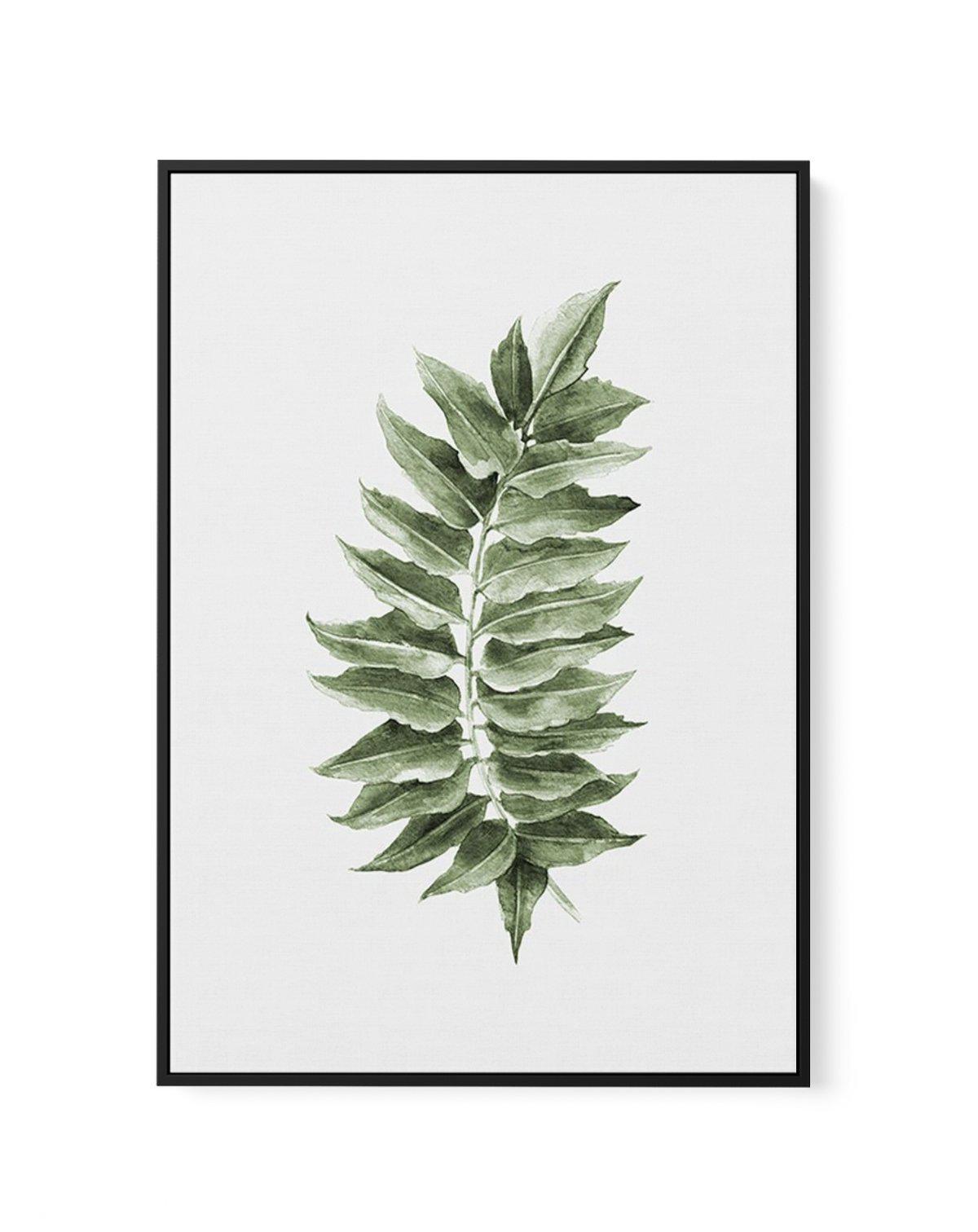 Monstera Subpinatta Palm | Framed Canvas-CANVAS-You can shop wall art online with Olive et Oriel for everything from abstract art to fun kids wall art. Our beautiful modern art prints and canvas art are available from large canvas prints to wall art paintings and our proudly Australian artwork collection offers only the highest quality framed large wall art and canvas art Australia - You can buy fashion photography prints or Hampton print posters and paintings on canvas from Olive et Oriel and h