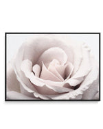 Mosaic Rose | Framed Canvas-CANVAS-You can shop wall art online with Olive et Oriel for everything from abstract art to fun kids wall art. Our beautiful modern art prints and canvas art are available from large canvas prints to wall art paintings and our proudly Australian artwork collection offers only the highest quality framed large wall art and canvas art Australia - You can buy fashion photography prints or Hampton print posters and paintings on canvas from Olive et Oriel and have them deli
