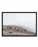 Mountain Horses | LS Art Print-PRINT-Olive et Oriel-Olive et Oriel-A5 | 5.8" x 8.3" | 14.8 x 21cm-Black-With White Border-Buy-Australian-Art-Prints-Online-with-Olive-et-Oriel-Your-Artwork-Specialists-Austrailia-Decorate-With-Coastal-Photo-Wall-Art-Prints-From-Our-Beach-House-Artwork-Collection-Fine-Poster-and-Framed-Artwork