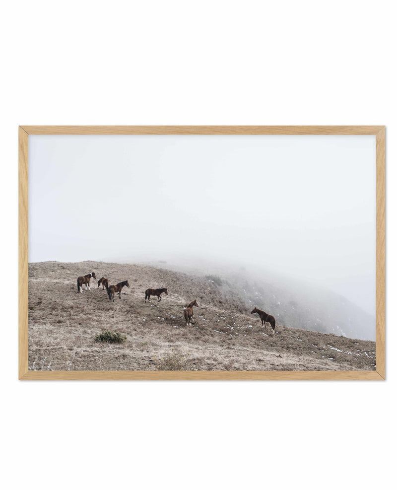 Mountain Horses | LS Art Print-PRINT-Olive et Oriel-Olive et Oriel-A5 | 5.8" x 8.3" | 14.8 x 21cm-Oak-With White Border-Buy-Australian-Art-Prints-Online-with-Olive-et-Oriel-Your-Artwork-Specialists-Austrailia-Decorate-With-Coastal-Photo-Wall-Art-Prints-From-Our-Beach-House-Artwork-Collection-Fine-Poster-and-Framed-Artwork