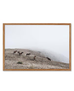 Mountain Horses | LS Art Print-PRINT-Olive et Oriel-Olive et Oriel-50x70 cm | 19.6" x 27.5"-Walnut-With White Border-Buy-Australian-Art-Prints-Online-with-Olive-et-Oriel-Your-Artwork-Specialists-Austrailia-Decorate-With-Coastal-Photo-Wall-Art-Prints-From-Our-Beach-House-Artwork-Collection-Fine-Poster-and-Framed-Artwork