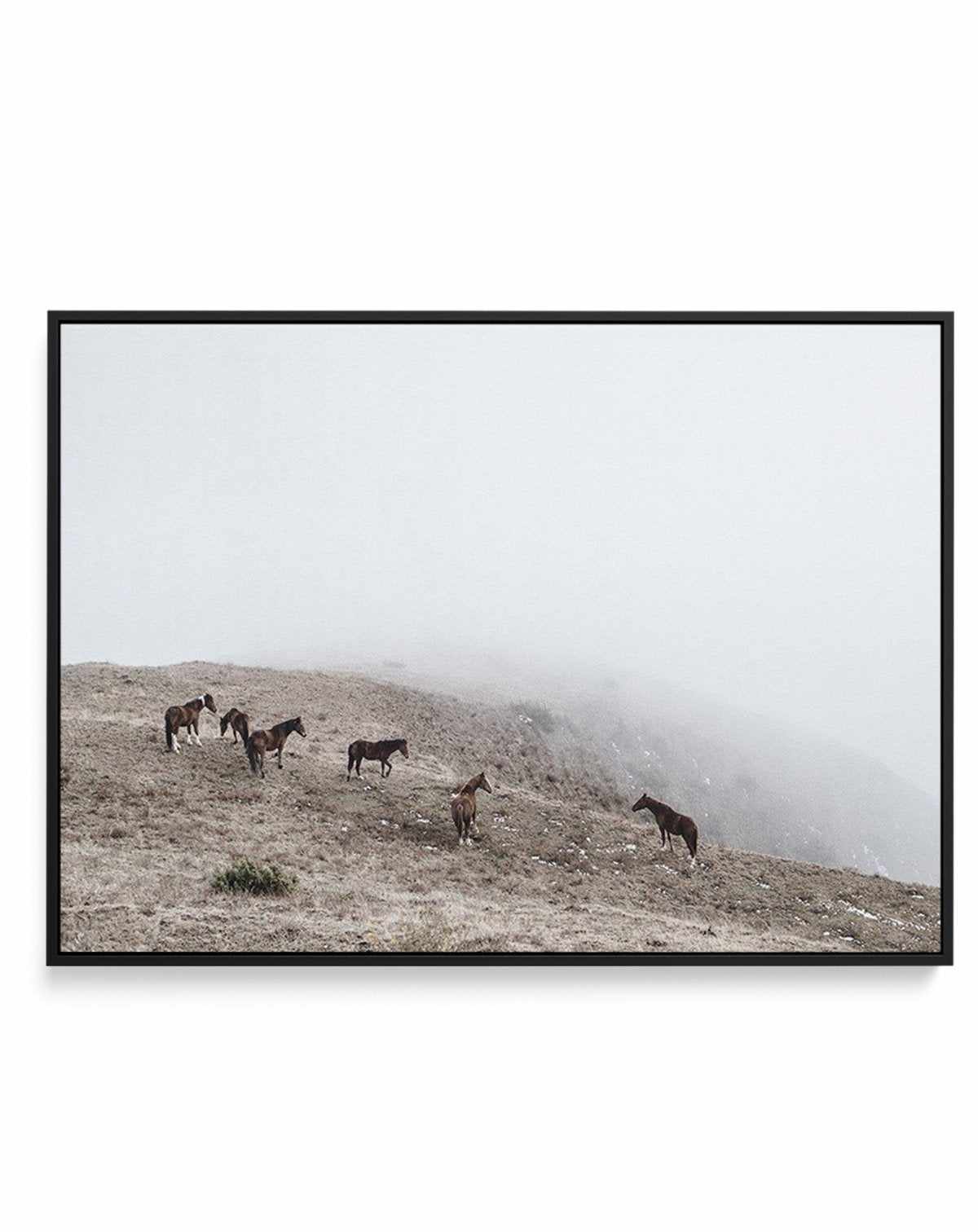 Mountain Horses | LS | Framed Canvas-CANVAS-You can shop wall art online with Olive et Oriel for everything from abstract art to fun kids wall art. Our beautiful modern art prints and canvas art are available from large canvas prints to wall art paintings and our proudly Australian artwork collection offers only the highest quality framed large wall art and canvas art Australia - You can buy fashion photography prints or Hampton print posters and paintings on canvas from Olive et Oriel and have 