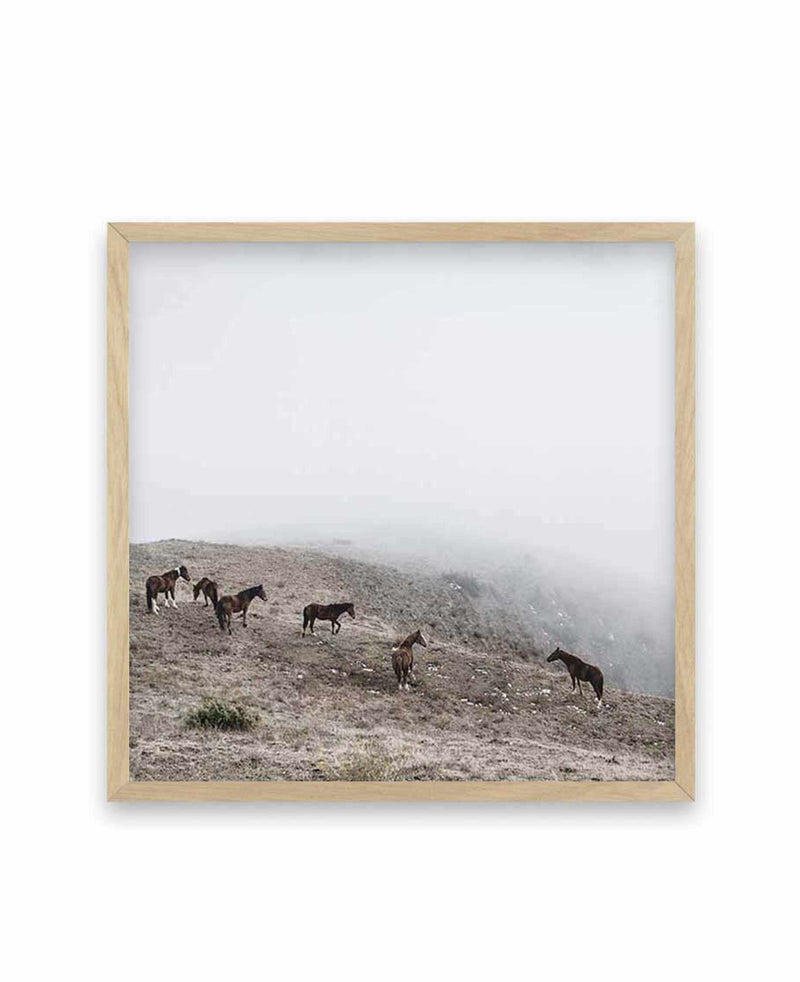 Mountain Horses SQ Art Print-PRINT-Olive et Oriel-Olive et Oriel-70x70 cm | 27.5" x 27.5"-Oak-With White Border-Buy-Australian-Art-Prints-Online-with-Olive-et-Oriel-Your-Artwork-Specialists-Austrailia-Decorate-With-Coastal-Photo-Wall-Art-Prints-From-Our-Beach-House-Artwork-Collection-Fine-Poster-and-Framed-Artwork