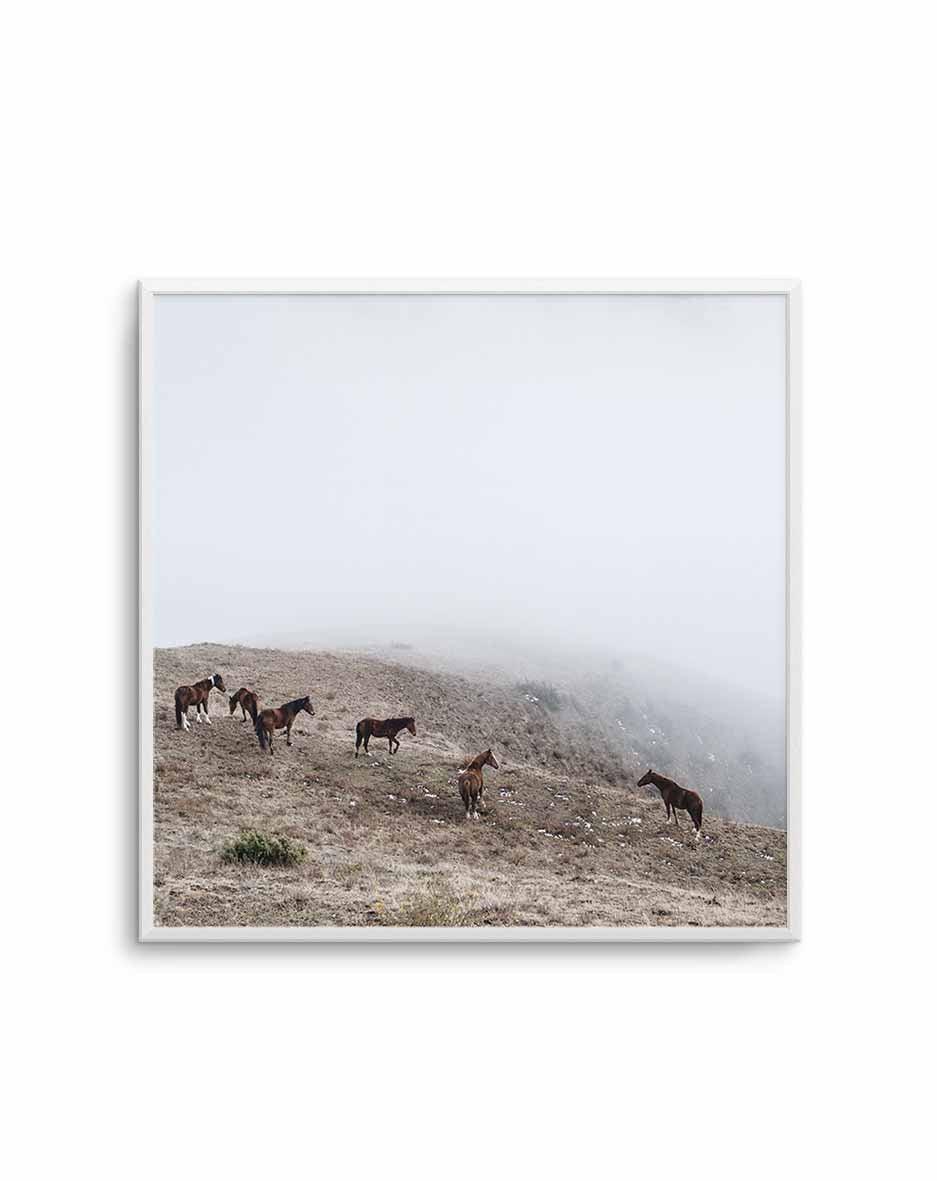 Mountain Horses SQ Art Print-PRINT-Olive et Oriel-Olive et Oriel-Buy-Australian-Art-Prints-Online-with-Olive-et-Oriel-Your-Artwork-Specialists-Austrailia-Decorate-With-Coastal-Photo-Wall-Art-Prints-From-Our-Beach-House-Artwork-Collection-Fine-Poster-and-Framed-Artwork