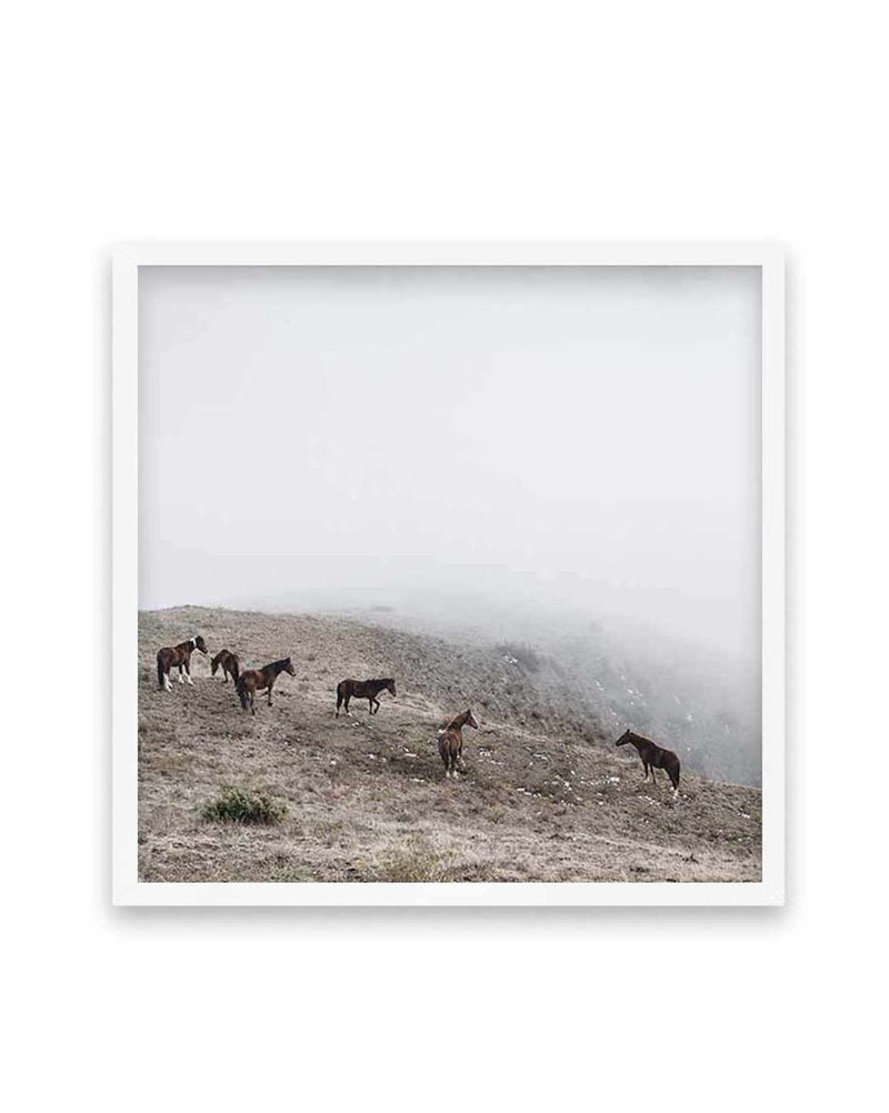 Mountain Horses SQ Art Print-PRINT-Olive et Oriel-Olive et Oriel-70x70 cm | 27.5" x 27.5"-White-With White Border-Buy-Australian-Art-Prints-Online-with-Olive-et-Oriel-Your-Artwork-Specialists-Austrailia-Decorate-With-Coastal-Photo-Wall-Art-Prints-From-Our-Beach-House-Artwork-Collection-Fine-Poster-and-Framed-Artwork