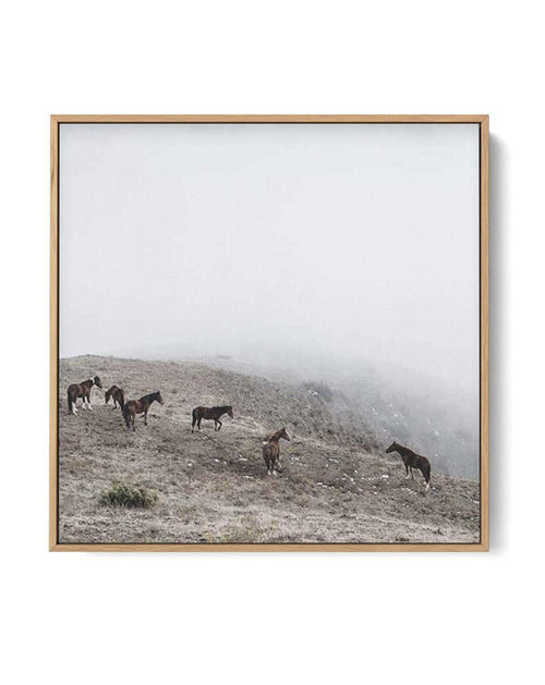 Mountain Horses SQ | Framed Canvas-CANVAS-You can shop wall art online with Olive et Oriel for everything from abstract art to fun kids wall art. Our beautiful modern art prints and canvas art are available from large canvas prints to wall art paintings and our proudly Australian artwork collection offers only the highest quality framed large wall art and canvas art Australia - You can buy fashion photography prints or Hampton print posters and paintings on canvas from Olive et Oriel and have th