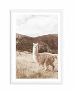 Mountain Llama Art Print-PRINT-Olive et Oriel-Olive et Oriel-A5 | 5.8" x 8.3" | 14.8 x 21cm-White-With White Border-Buy-Australian-Art-Prints-Online-with-Olive-et-Oriel-Your-Artwork-Specialists-Austrailia-Decorate-With-Coastal-Photo-Wall-Art-Prints-From-Our-Beach-House-Artwork-Collection-Fine-Poster-and-Framed-Artwork