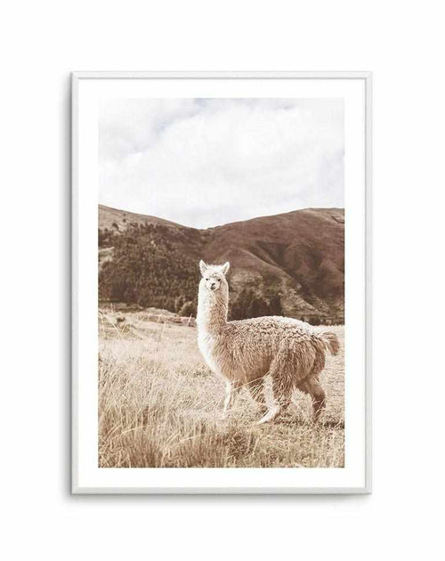 Mountain Llama Art Print-PRINT-Olive et Oriel-Olive et Oriel-A5 | 5.8" x 8.3" | 14.8 x 21cm-Unframed Art Print-With White Border-Buy-Australian-Art-Prints-Online-with-Olive-et-Oriel-Your-Artwork-Specialists-Austrailia-Decorate-With-Coastal-Photo-Wall-Art-Prints-From-Our-Beach-House-Artwork-Collection-Fine-Poster-and-Framed-Artwork