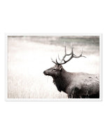 Mountain Stag | LS Art Print-PRINT-Olive et Oriel-Olive et Oriel-A5 | 5.8" x 8.3" | 14.8 x 21cm-White-With White Border-Buy-Australian-Art-Prints-Online-with-Olive-et-Oriel-Your-Artwork-Specialists-Austrailia-Decorate-With-Coastal-Photo-Wall-Art-Prints-From-Our-Beach-House-Artwork-Collection-Fine-Poster-and-Framed-Artwork