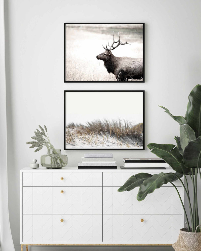Mountain Stag | LS Art Print-PRINT-Olive et Oriel-Olive et Oriel-Buy-Australian-Art-Prints-Online-with-Olive-et-Oriel-Your-Artwork-Specialists-Austrailia-Decorate-With-Coastal-Photo-Wall-Art-Prints-From-Our-Beach-House-Artwork-Collection-Fine-Poster-and-Framed-Artwork