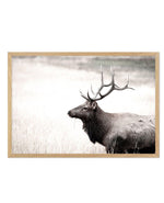 Mountain Stag | LS Art Print-PRINT-Olive et Oriel-Olive et Oriel-A5 | 5.8" x 8.3" | 14.8 x 21cm-Oak-With White Border-Buy-Australian-Art-Prints-Online-with-Olive-et-Oriel-Your-Artwork-Specialists-Austrailia-Decorate-With-Coastal-Photo-Wall-Art-Prints-From-Our-Beach-House-Artwork-Collection-Fine-Poster-and-Framed-Artwork