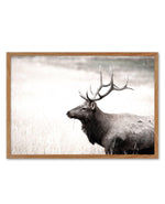 Mountain Stag | LS Art Print-PRINT-Olive et Oriel-Olive et Oriel-50x70 cm | 19.6" x 27.5"-Walnut-With White Border-Buy-Australian-Art-Prints-Online-with-Olive-et-Oriel-Your-Artwork-Specialists-Austrailia-Decorate-With-Coastal-Photo-Wall-Art-Prints-From-Our-Beach-House-Artwork-Collection-Fine-Poster-and-Framed-Artwork