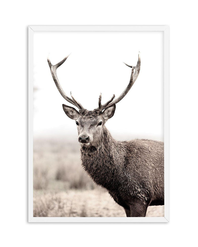 Mountain Stag | PT Art Print-PRINT-Olive et Oriel-Olive et Oriel-A5 | 5.8" x 8.3" | 14.8 x 21cm-White-With White Border-Buy-Australian-Art-Prints-Online-with-Olive-et-Oriel-Your-Artwork-Specialists-Austrailia-Decorate-With-Coastal-Photo-Wall-Art-Prints-From-Our-Beach-House-Artwork-Collection-Fine-Poster-and-Framed-Artwork