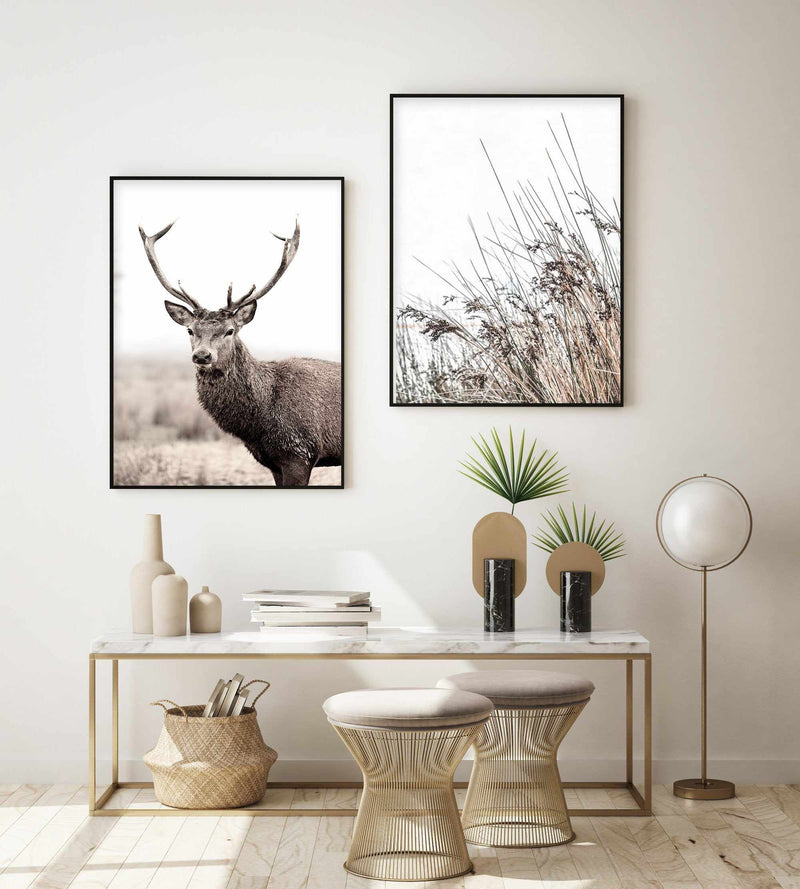 Mountain Stag | PT Art Print-PRINT-Olive et Oriel-Olive et Oriel-Buy-Australian-Art-Prints-Online-with-Olive-et-Oriel-Your-Artwork-Specialists-Austrailia-Decorate-With-Coastal-Photo-Wall-Art-Prints-From-Our-Beach-House-Artwork-Collection-Fine-Poster-and-Framed-Artwork