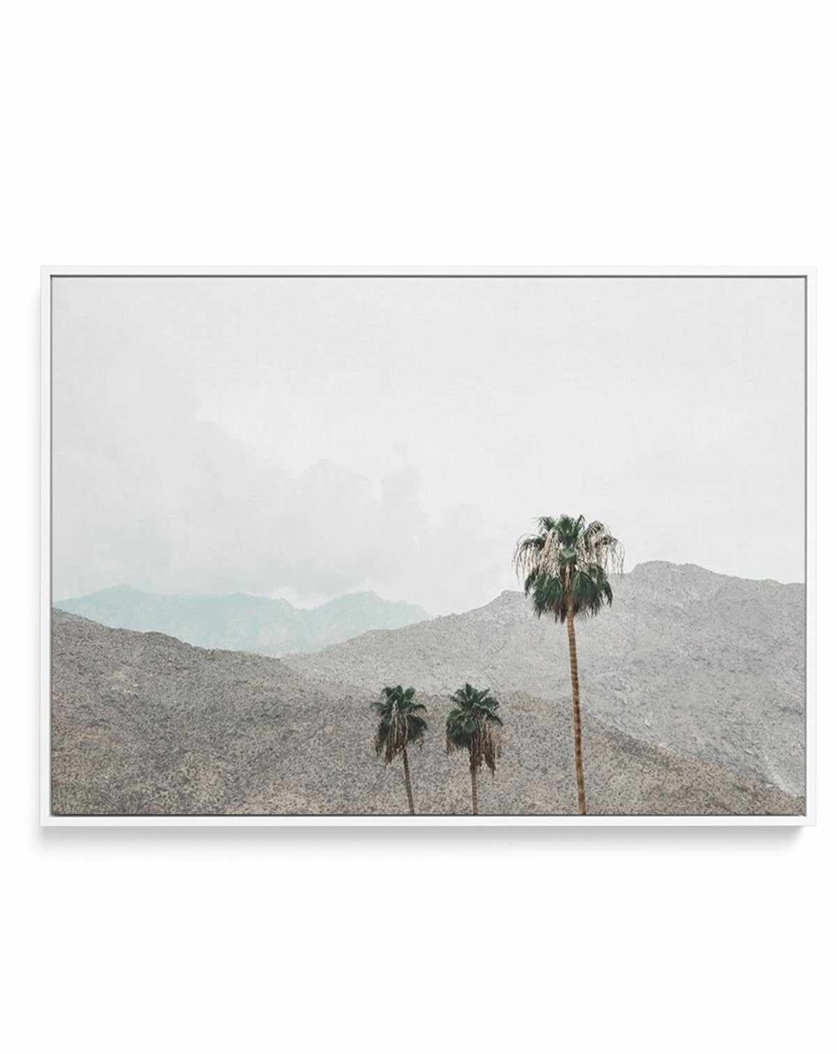 Mountains of Palm Springs | LS | Framed Canvas-CANVAS-You can shop wall art online with Olive et Oriel for everything from abstract art to fun kids wall art. Our beautiful modern art prints and canvas art are available from large canvas prints to wall art paintings and our proudly Australian artwork collection offers only the highest quality framed large wall art and canvas art Australia - You can buy fashion photography prints or Hampton print posters and paintings on canvas from Olive et Oriel