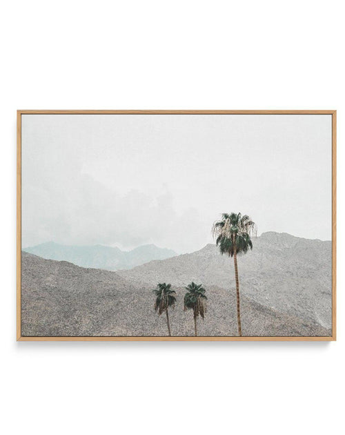 Mountains of Palm Springs | LS | Framed Canvas-CANVAS-You can shop wall art online with Olive et Oriel for everything from abstract art to fun kids wall art. Our beautiful modern art prints and canvas art are available from large canvas prints to wall art paintings and our proudly Australian artwork collection offers only the highest quality framed large wall art and canvas art Australia - You can buy fashion photography prints or Hampton print posters and paintings on canvas from Olive et Oriel