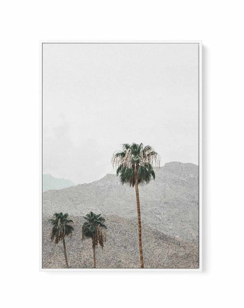 Mountains of Palm Springs | PT | Framed Canvas-CANVAS-You can shop wall art online with Olive et Oriel for everything from abstract art to fun kids wall art. Our beautiful modern art prints and canvas art are available from large canvas prints to wall art paintings and our proudly Australian artwork collection offers only the highest quality framed large wall art and canvas art Australia - You can buy fashion photography prints or Hampton print posters and paintings on canvas from Olive et Oriel